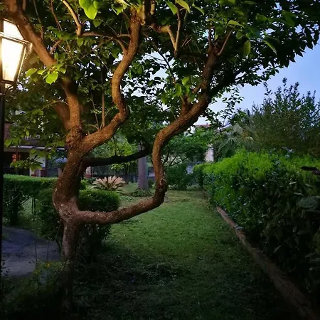 Il Tiglio Live On Etna
